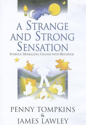 A Strange and Strong Sensation: Symbolic modeling - Tompkins, Penny, and Lawley, James