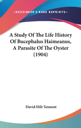 A Study Of The Life History Of Bucephalus Haimeanus, A Parasite Of The Oyster (1904)