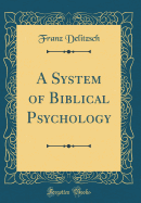 A System of Biblical Psychology (Classic Reprint)