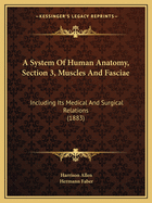 A System of Human Anatomy, Section 3, Muscles and Fasciae: Including Its Medical and Surgical Relations (1883)