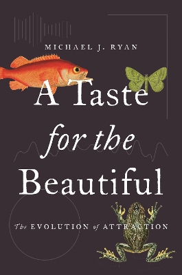 A Taste for the Beautiful: The Evolution of Attraction - Ryan, Michael J
