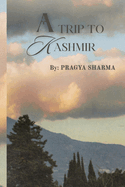 A Trip To Kashmir