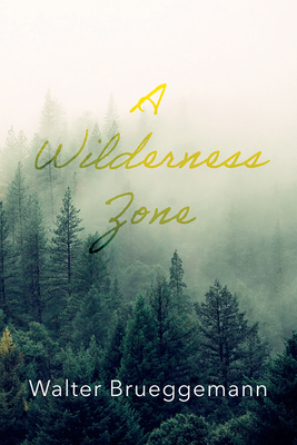 A Wilderness Zone - Brueggemann, Walter