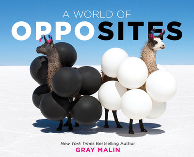 A World of Opposites: A Picture Book - Malin, Gray