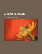 A Year in Brazil
