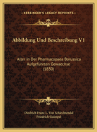 Abbildung Und Beschreibung V1: Aller in Der Pharmacopaea Borussica Aufgefuhrten Gewaechse (1830)