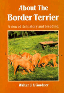 About the Border Terrier