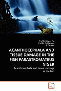 Acanthocephala and Tissue Damage in the Fish Parastromateus Niger