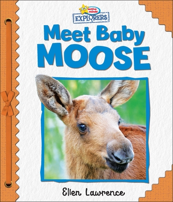 Active Minds Explorers: Meet Baby Moose - Lawrence, Ellen