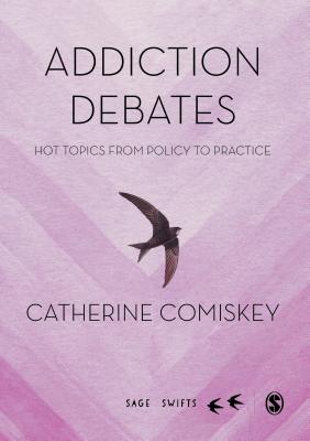 Addiction Debates: Hot Topics from Policy to Practice - Comiskey, Catherine