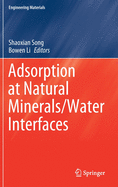 Adsorption at Natural Minerals/Water Interfaces