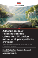 Adsorption pour l'limination des colorants: Situation actuelle et perspectives d'avenir