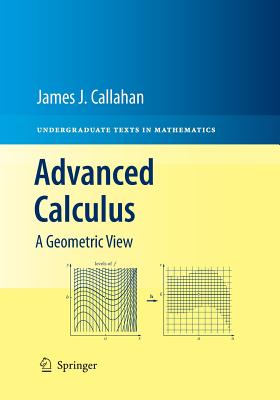 Advanced Calculus: A Geometric View - Callahan, James J