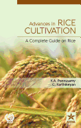 Advances in Rice Cultivation: A Complete Guide on Rice