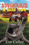 Adventures in Barn Town