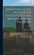 Adventures in the Wilds of the United States and British American Provinces; Volume 1