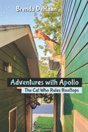 Adventures with Apollo: The Cat Who Rules Rooftops