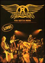 Aerosmith: You Gotta Move [2 Discs] - Dave Bett