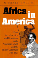 Africa in America: Slave Acculturation and Resistance in the American South and the British Caribbean, 1736-1831