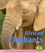 African Elephants