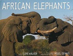 African Elephants