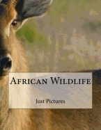 African Wildlife