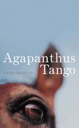 Agapanthus Tango - Francis, David