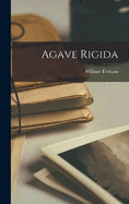 Agave Rigida