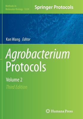 Agrobacterium Protocols: Volume 2 - Wang, Kan (Editor)