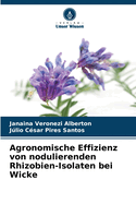 Agronomische Effizienz von nodulierenden Rhizobien-Isolaten bei Wicke