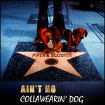 Ain't No Collawearin' Dog