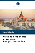 Aktuelle Fragen des ungarischen Strafprozessrechts