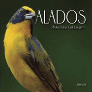 Alados: Aves en Panam