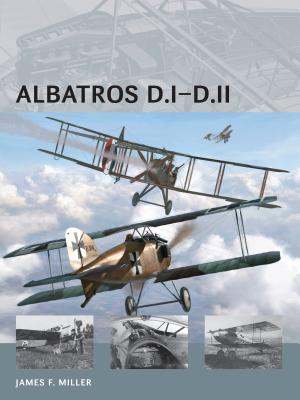 Albatros D.I-D.II - 