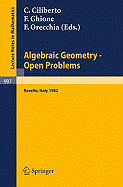 Algebraic Geometry - Open Problems: Proceedings of the Conference Held in Ravello, May 31 - June 5, 1982