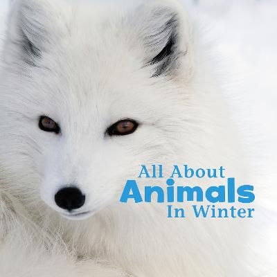 All About Animals in Winter - Rustad, Martha E. H.