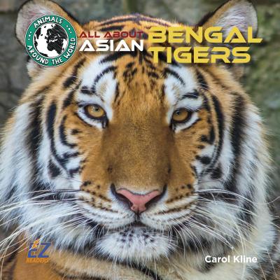All about Asian Bengal Tigers - Kline, Carol