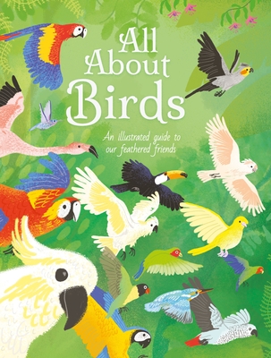 All about Birds: An Illustrated Guide to Our Feathered Friends - Cheeseman, Polly