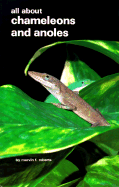All About Chameleons and Anoles