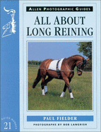 All about Long Reining