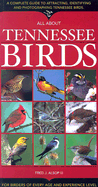 All about Tennessee Birds