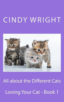 All about the Different Cats - Wright, Cindy