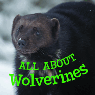 All about Wolverines: English Edition