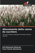 Allevamento della canna da zucchero