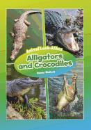 Alligators and Crocodiles