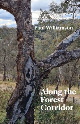 Along the Forest Corridor - Williamson, Paul