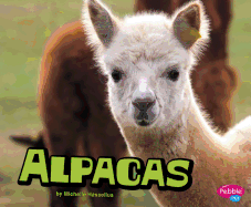 Alpacas