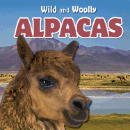 Alpacas