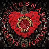 Always & Forever [12" Picture Disc] - Whitesnake