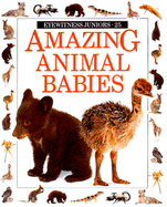 Amazing Animal Babies - Maynard, Christopher